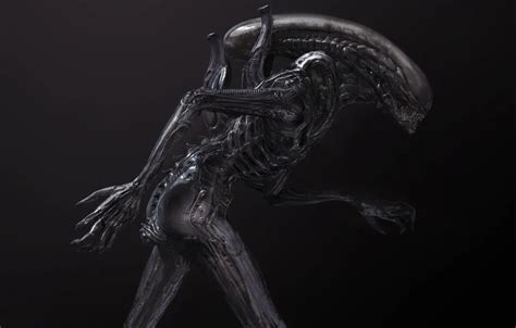 Xenomorph:  De Ontzettende Angst van een Extraterrestriale Jager in een Sci-Fi Horrorwereld!